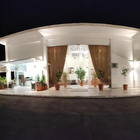 Sofias Hotel Ioannina Buitenkant foto
